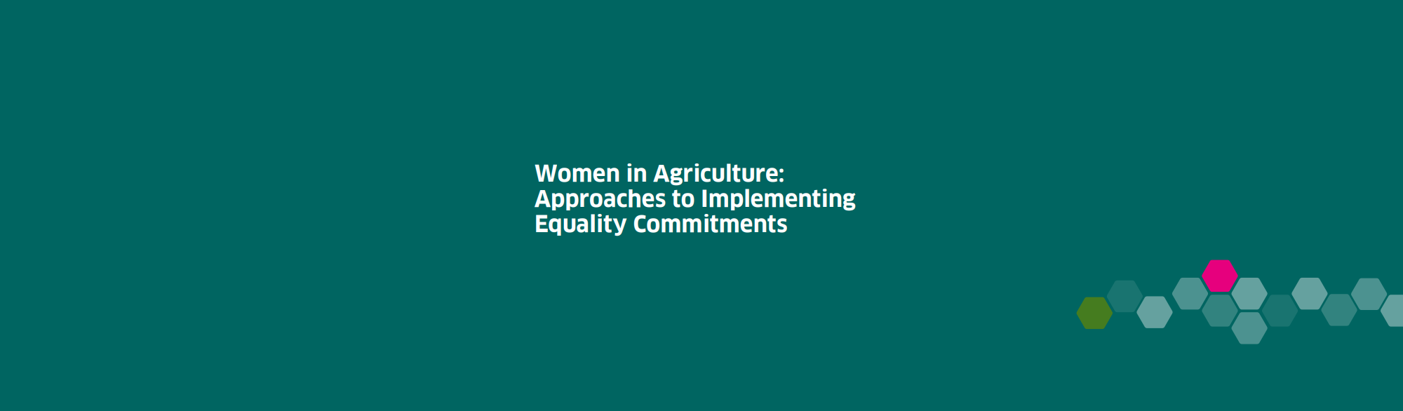 Women In Agriculture Banner